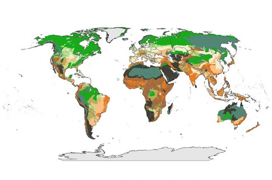 Dark grey marks regions that are climatically stable and have their vegetation intact. Dark orange marks regions that are climatically stable but don't have vegetation. Dark green marks regions that are not climatically stable and have high levels of intact vegetation. Pale cream marks regions with low climate stability and low levels of vegetation.