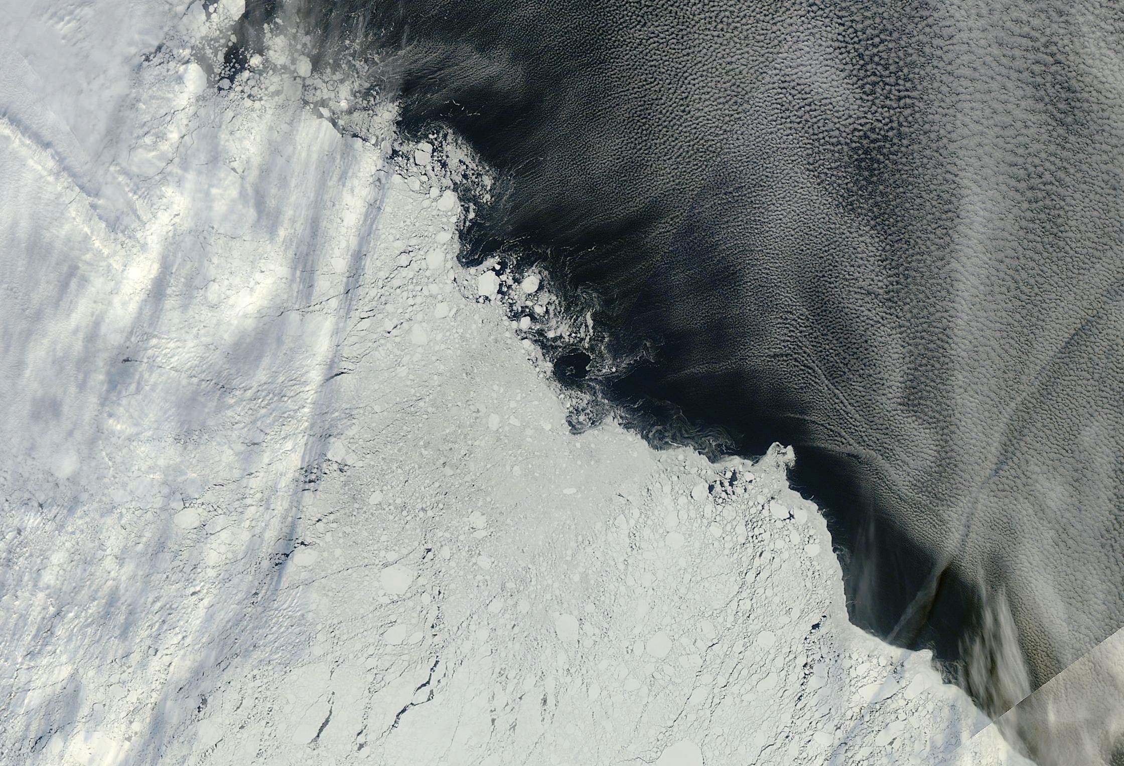 An area of the Arctic sea ice pack roughly northeast of the New Siberian Islands, captured by multiple orbits of the MODIS instrument on NASA's Terra satellite on Sept. 13, 2013. Sea ice dominates the lower left half of the image; open ocean and cloud formations can be seen in the upper right. <i><b>Image Credit: Image courtesy NASA Worldview</b></i>